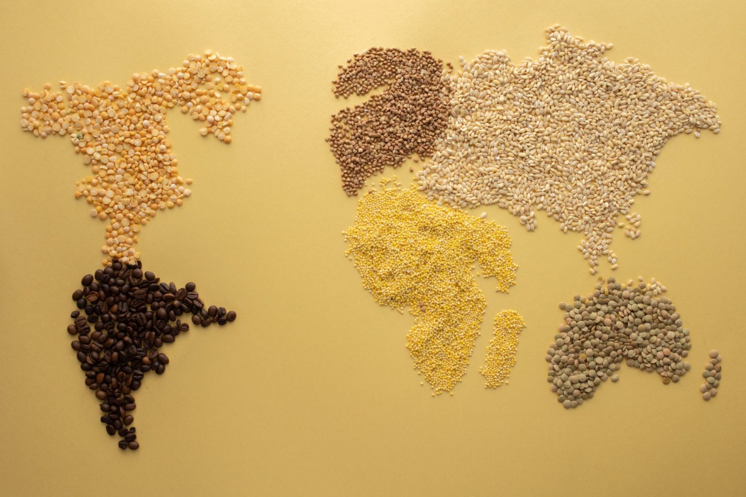 photo of various grains of different colors and shapes set into the formation of the seven continents